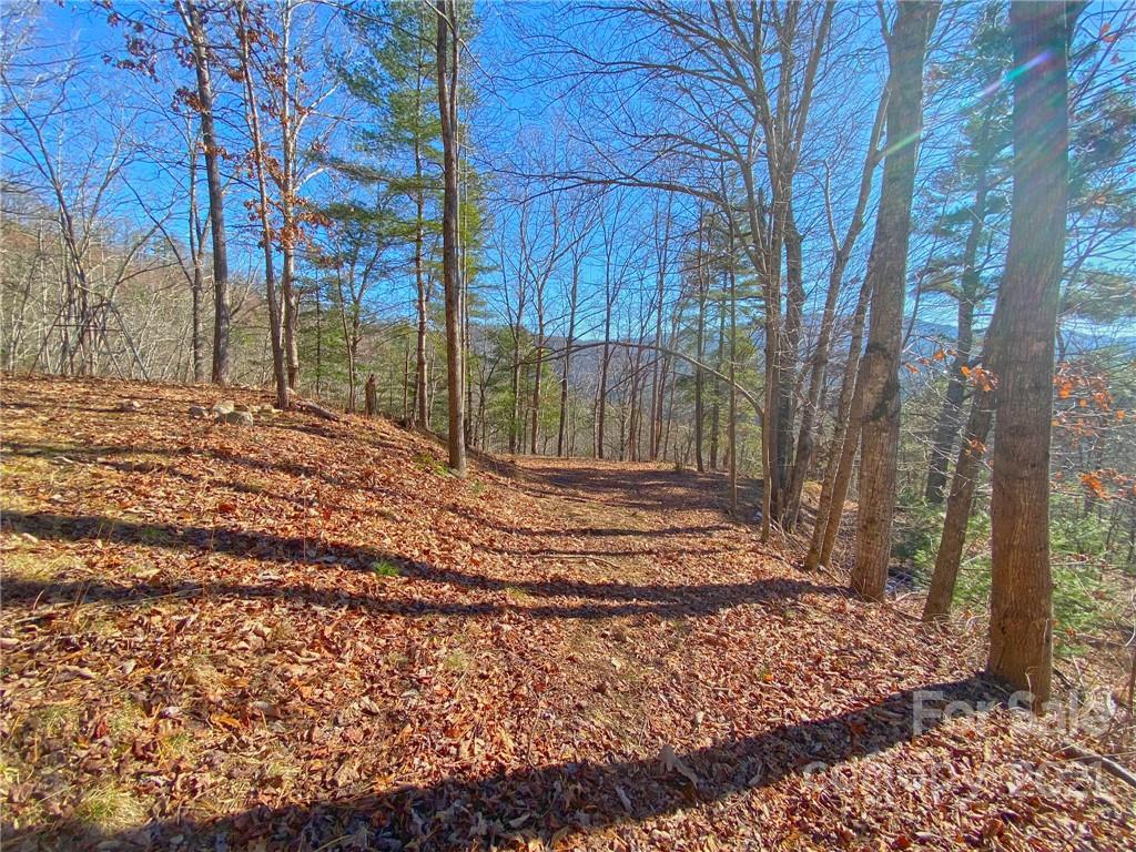 216 Waldroup Road Hot Springs, NC 28743 - Photo 22 of 48 Gallery Image 22