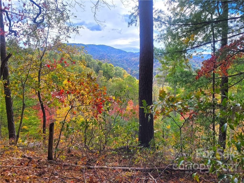 216 Waldroup Road Hot Springs, NC 28743 - Photo 23 of 48 Gallery Image 23