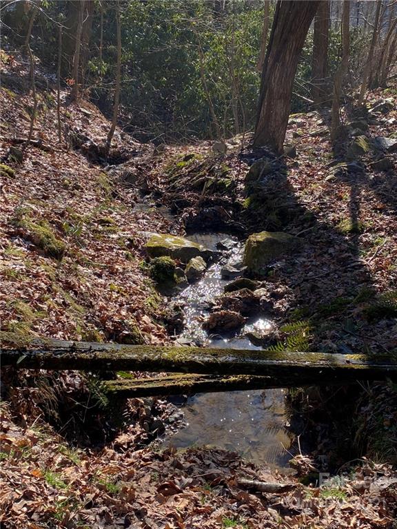 216 Waldroup Road Hot Springs, NC 28743 - Photo 29 of 48 Gallery Image 29
