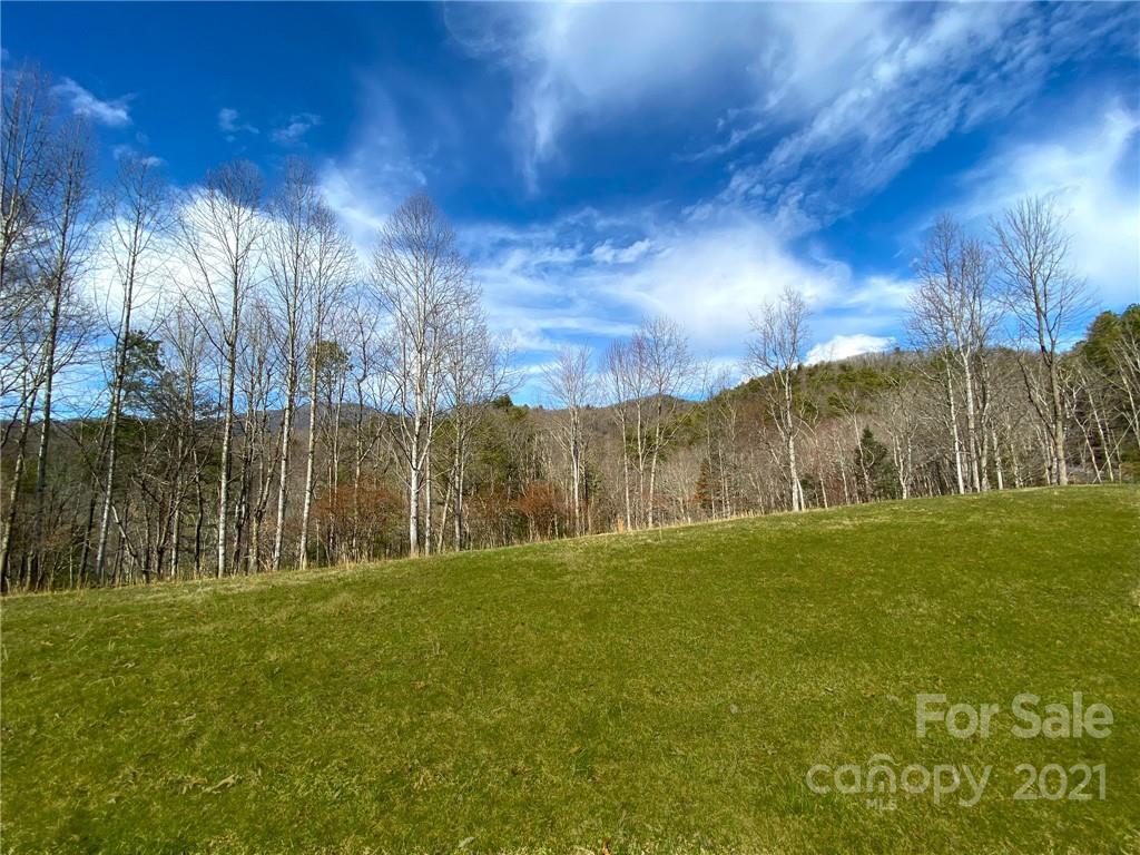 216 Waldroup Road Hot Springs, NC 28743 - Photo 30 of 48 Gallery Image 30