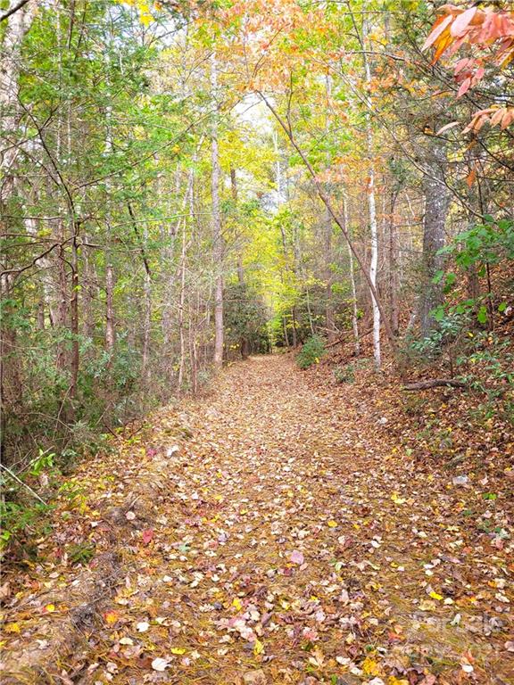 216 Waldroup Road Hot Springs, NC 28743 - Photo 33 of 48 Gallery Image 33