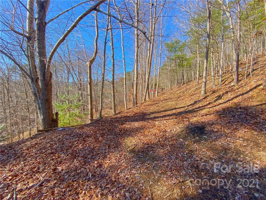 216 Waldroup Road Hot Springs, NC 28743 - Photo 35 of 48 Gallery Image 35