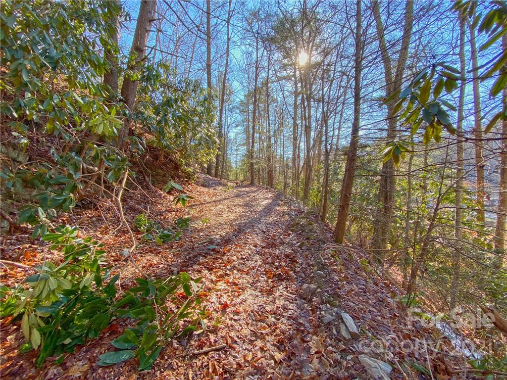 216 Waldroup Road Hot Springs, NC 28743 - Photo 40 of 48 Gallery Image 40