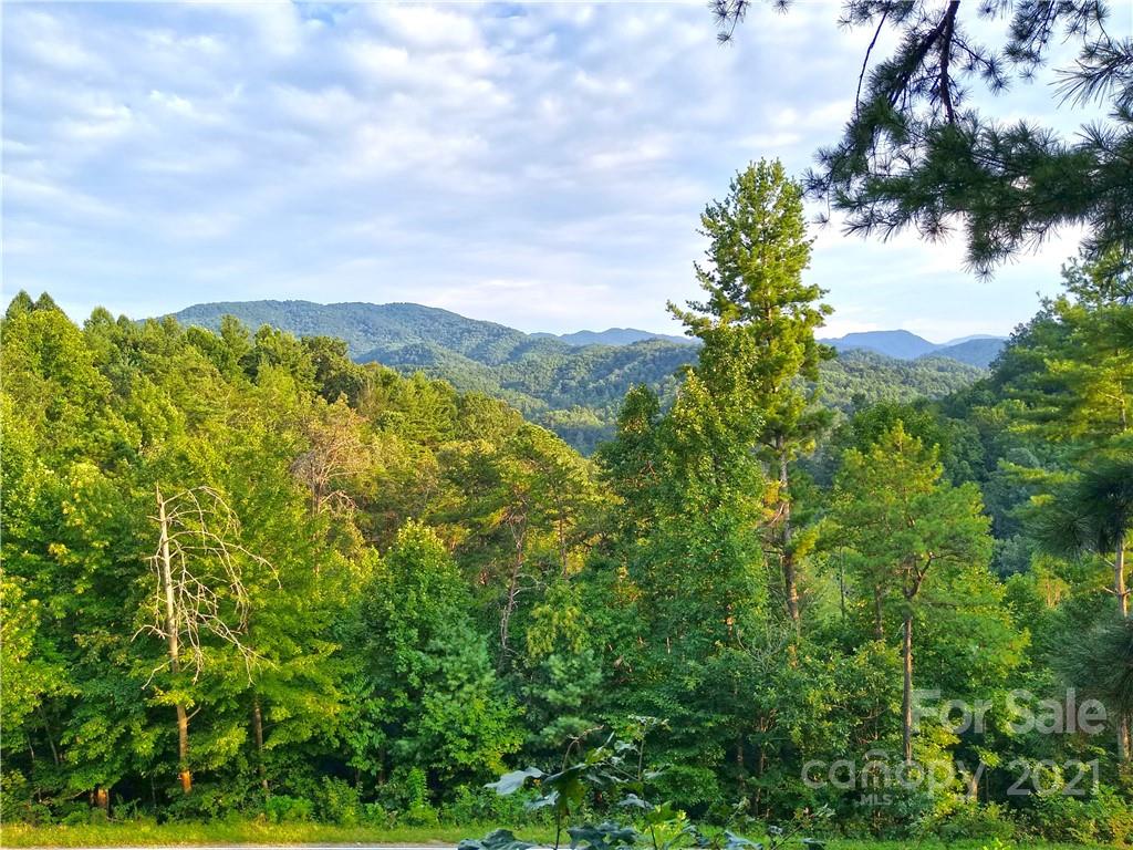 216 Waldroup Road Hot Springs, NC 28743 - Photo 42 of 48 Gallery Image 42