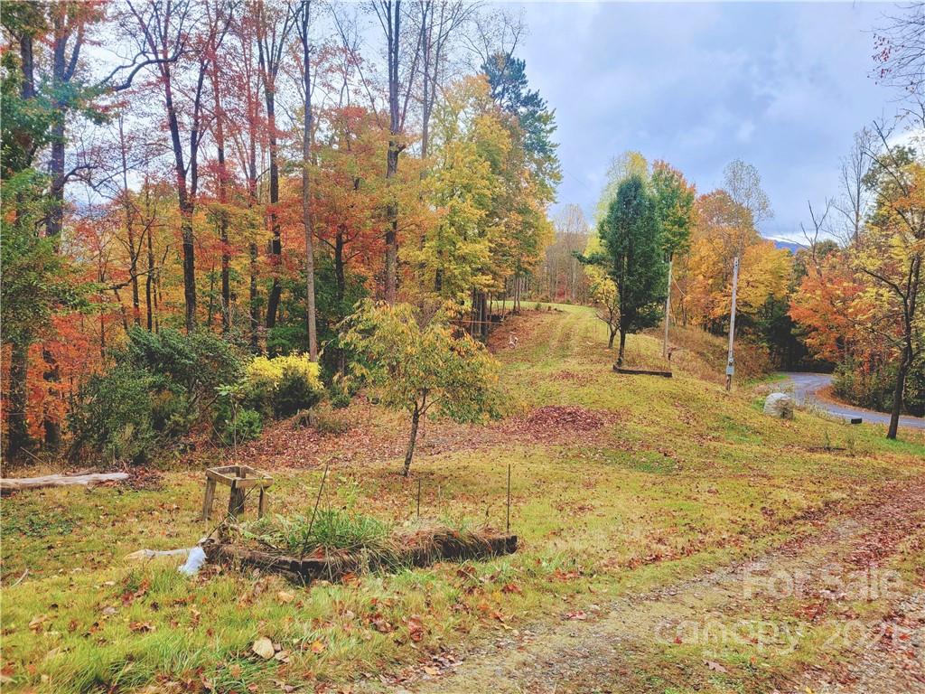 216 Waldroup Road Hot Springs, NC 28743 - Photo 43 of 48 Gallery Image 43
