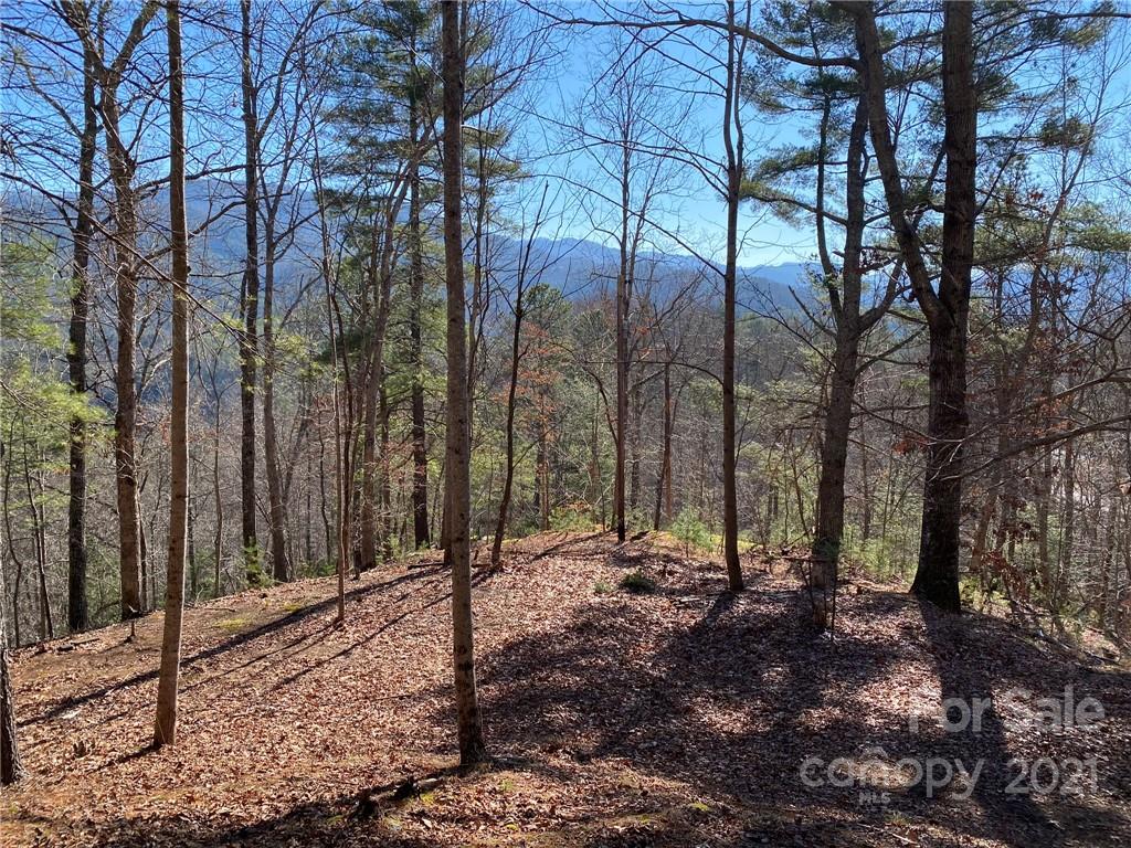 216 Waldroup Road Hot Springs, NC 28743 - Photo 44 of 48 Gallery Image 44