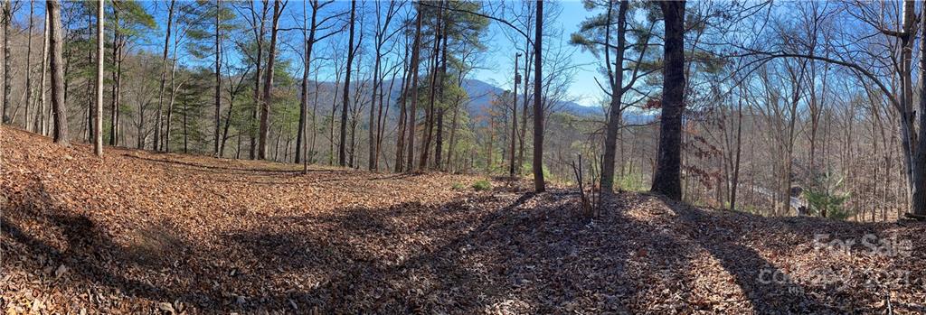 216 Waldroup Road Hot Springs, NC 28743 - Photo 47 of 48 Gallery Image 47