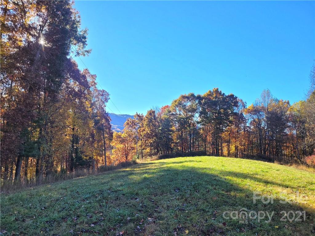 216 Waldroup Road Hot Springs, NC 28743 - Photo 6 of 48 Gallery Image 6