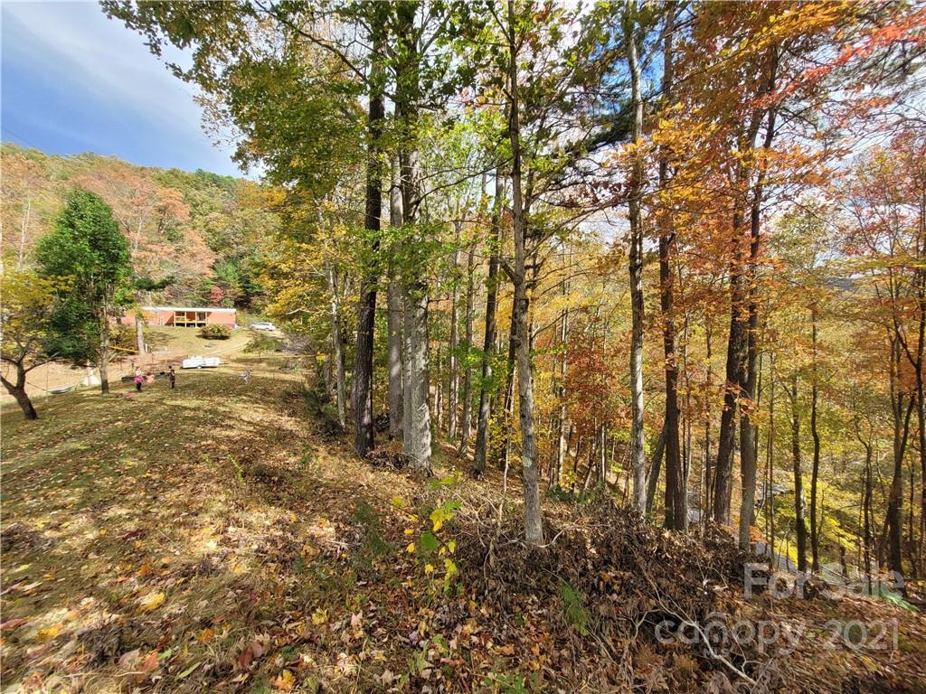216 Waldroup Road Hot Springs, NC 28743 - Photo 9 of 48 Gallery Image 9