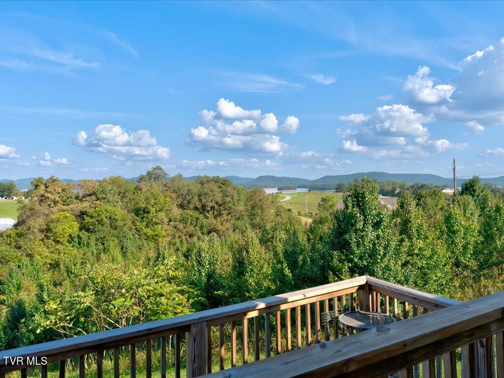 230 Water Way Drive Rutledge, TN 37861 - Photo 30 of 46 230 Water Way - 29