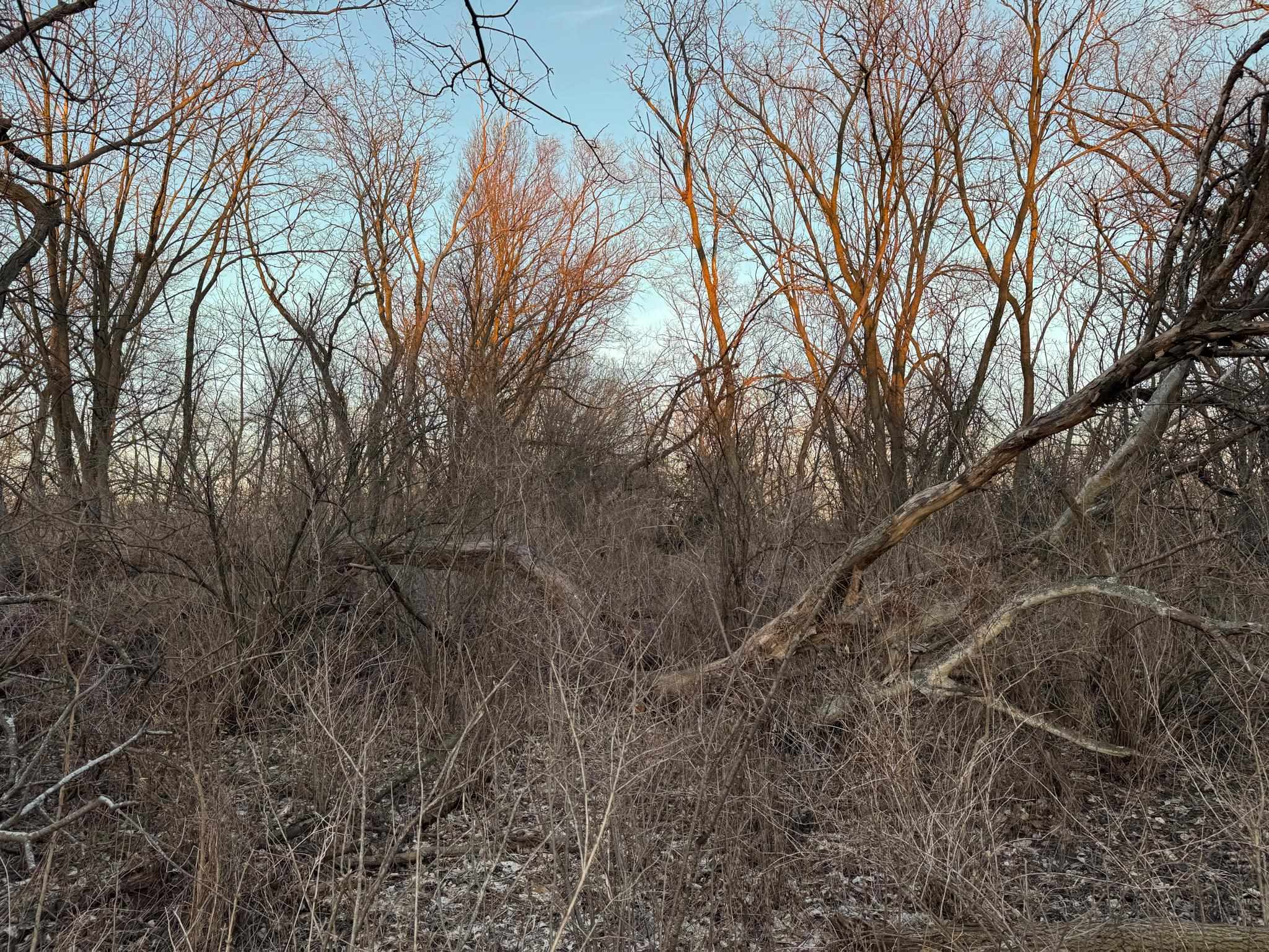 Lot 1 South Afton Road Beloit, WI 53511 - Photo 12 of 37
