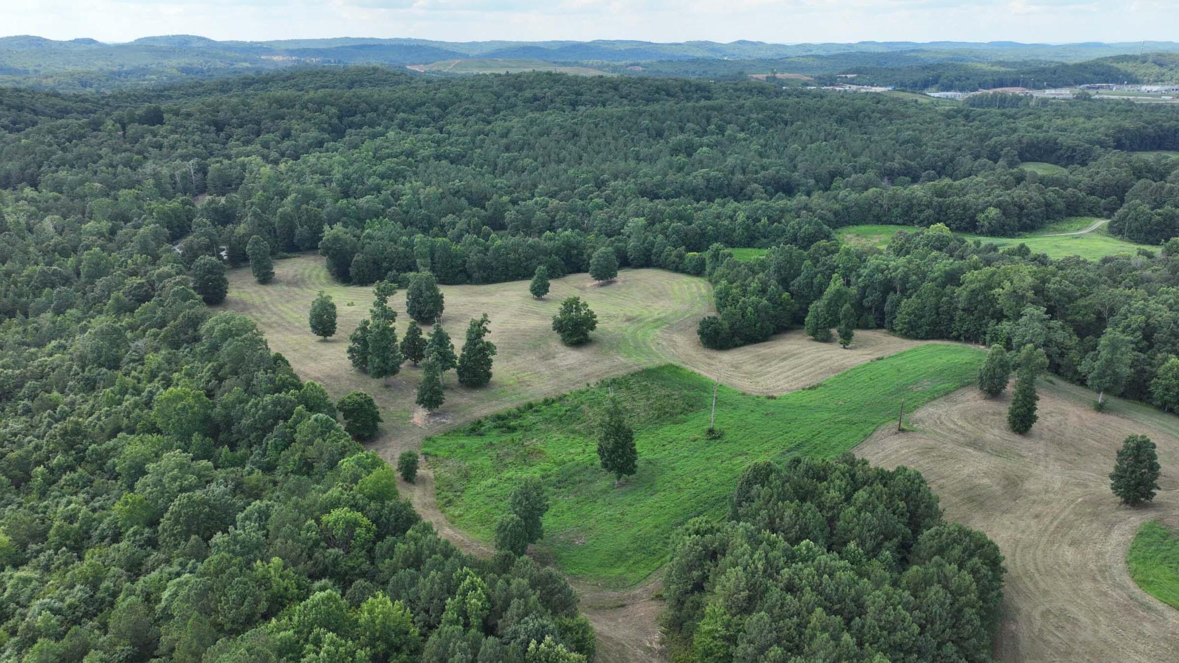290 Mason Road McDonald, TN 37353 - Photo 1 of 14 1