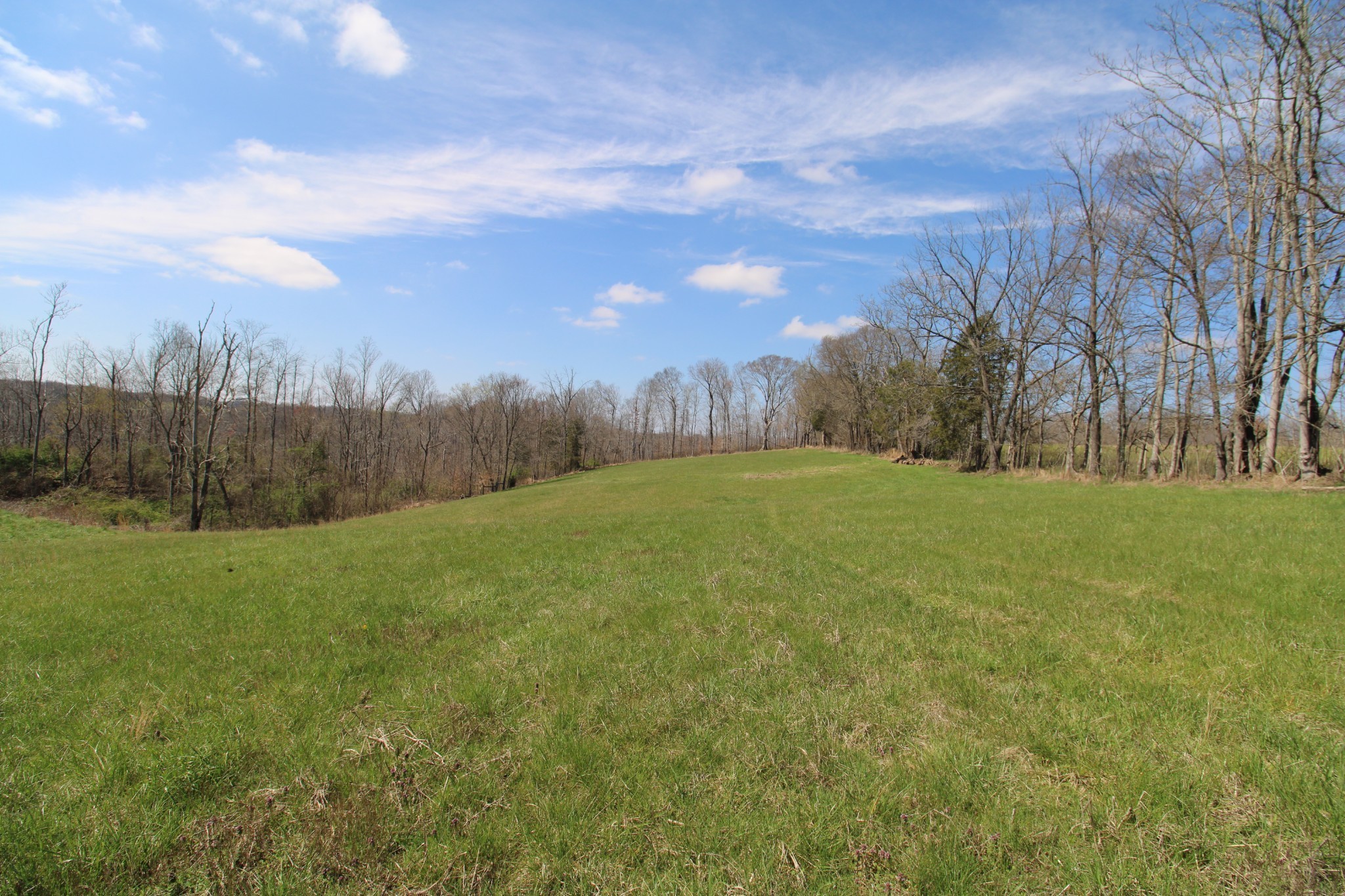 2271 East Stinson Road Lafayette, TN 37083 - Photo 17 of 50 a view of an outdoor space and a yard