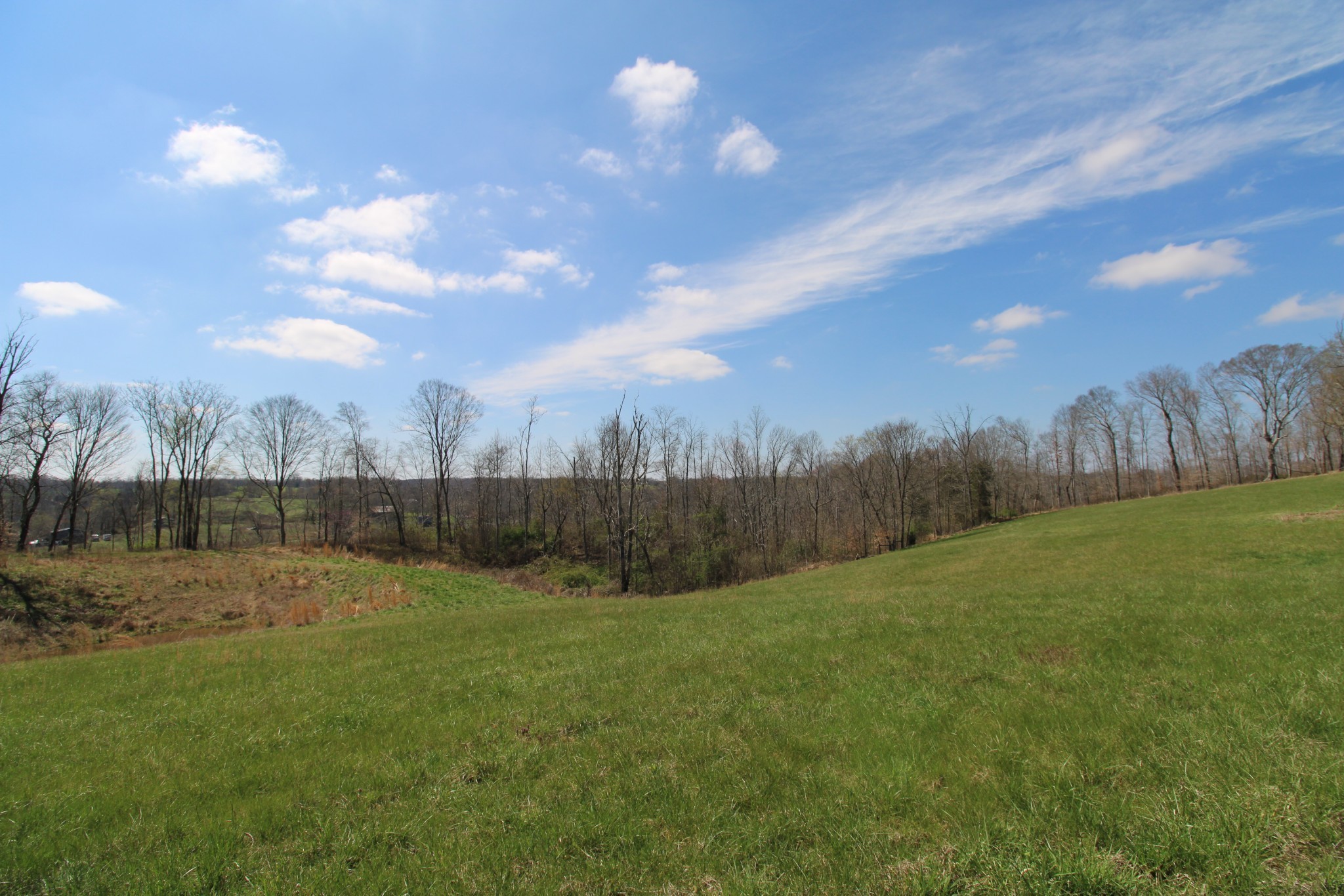 2271 East Stinson Road Lafayette, TN 37083 - Photo 19 of 50 a view of a backyard