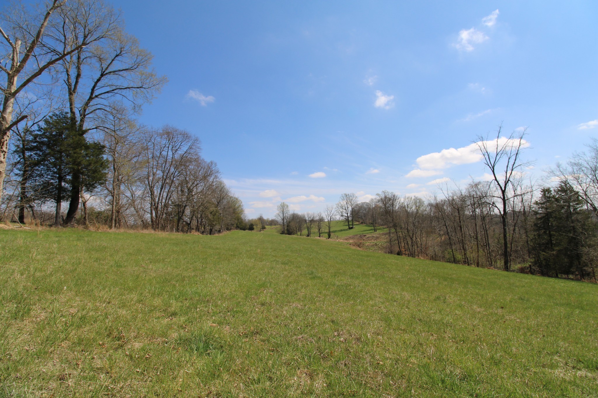 2271 East Stinson Road Lafayette, TN 37083 - Photo 20 of 50 a view of an outdoor space and yard