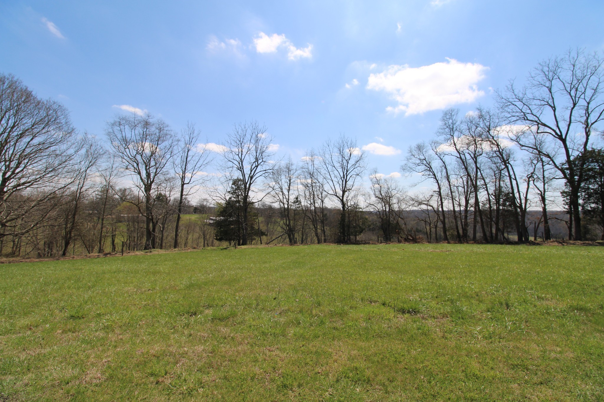 2271 East Stinson Road Lafayette, TN 37083 - Photo 22 of 50 a view of grassy field with trees