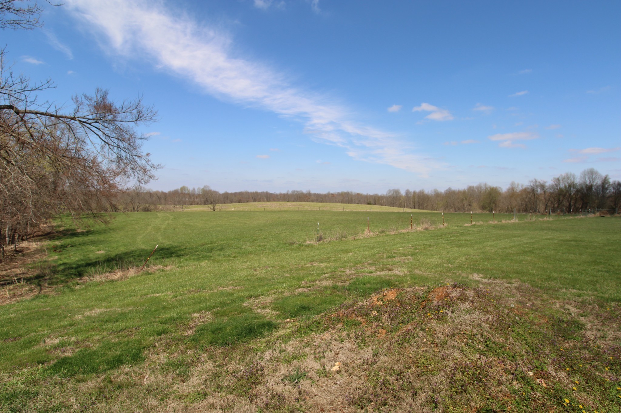 2271 East Stinson Road Lafayette, TN 37083 - Photo 23 of 50 a view of an ocean from a yard