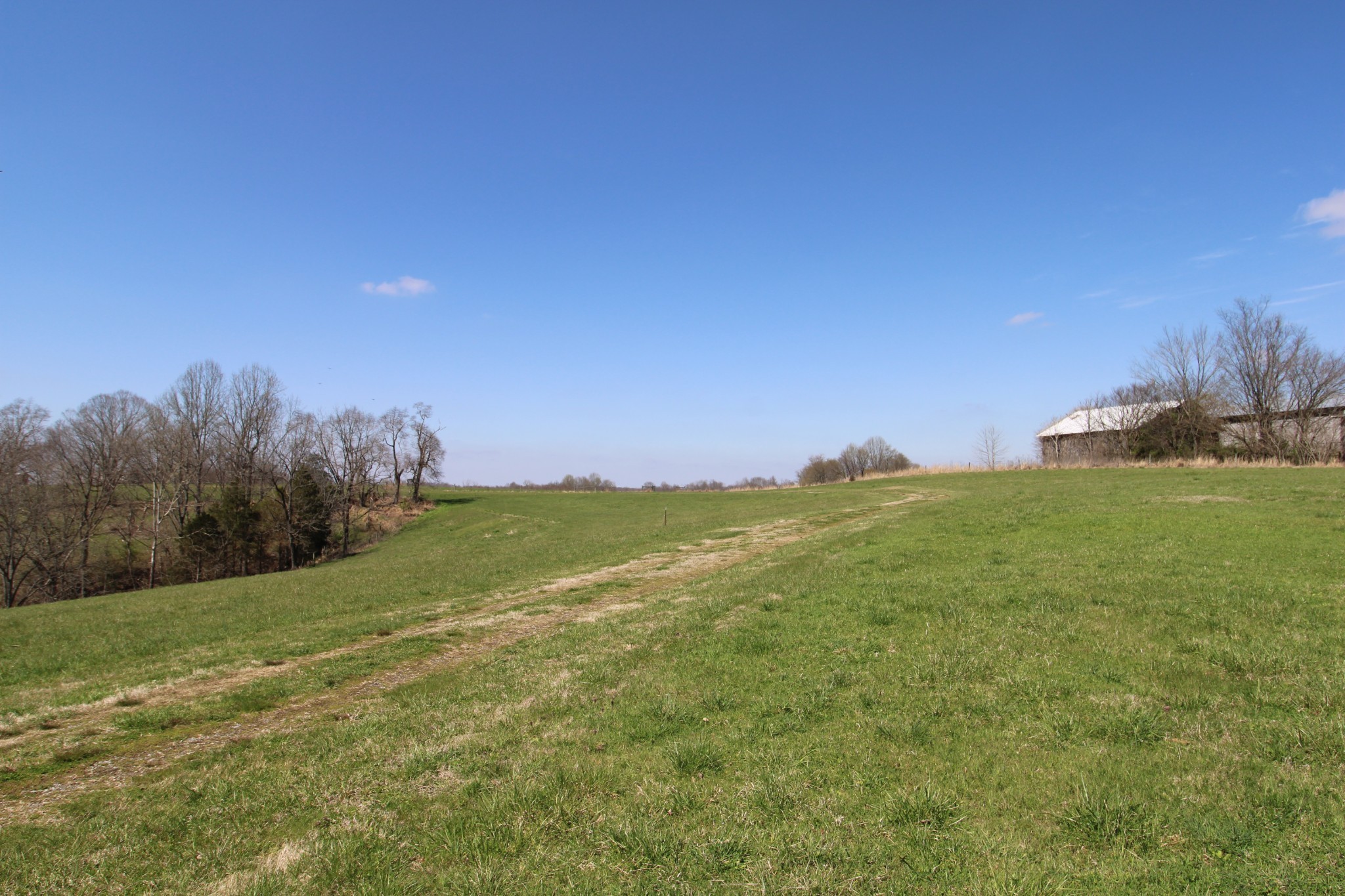 2271 East Stinson Road Lafayette, TN 37083 - Photo 24 of 50 a view of yard with ocean view