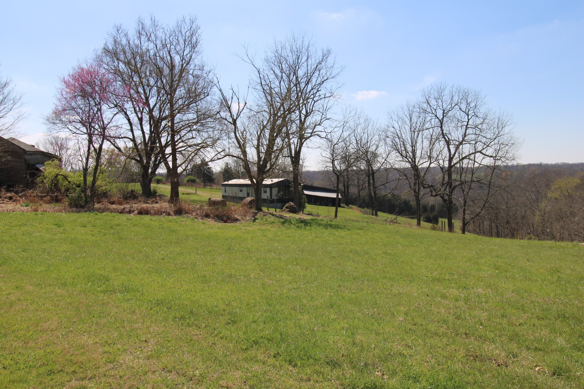 2271 East Stinson Road Lafayette, TN 37083 - Photo 28 of 50 a view of a park with large trees