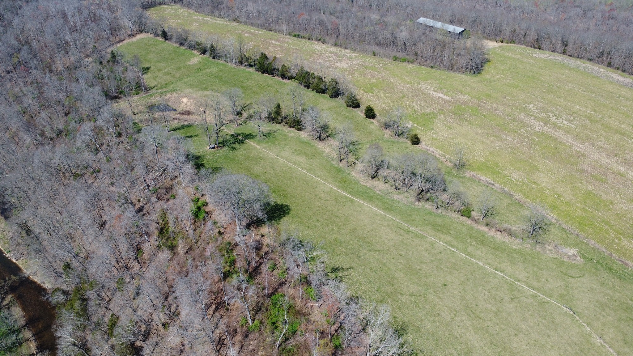 2271 East Stinson Road Lafayette, TN 37083 - Photo 38 of 50 a view of a yard with plants