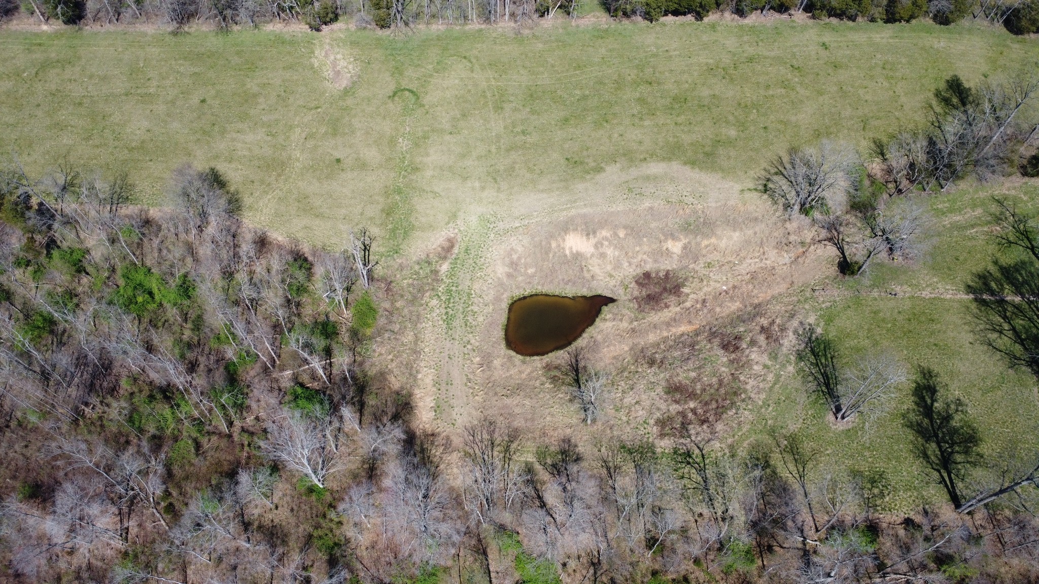 2271 East Stinson Road Lafayette, TN 37083 - Photo 40 of 50 a view of fountain in middle of the green field