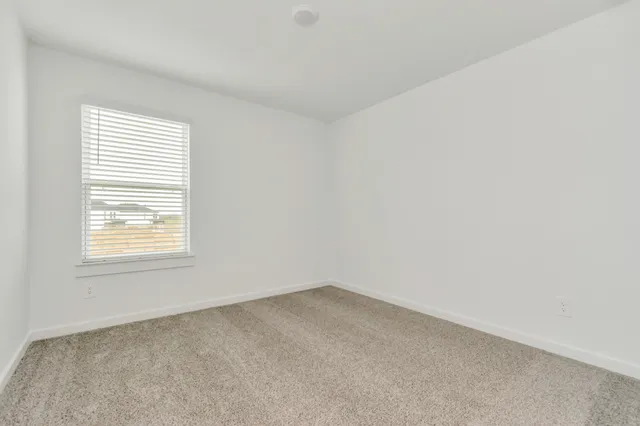 a view of a backyard with large tree