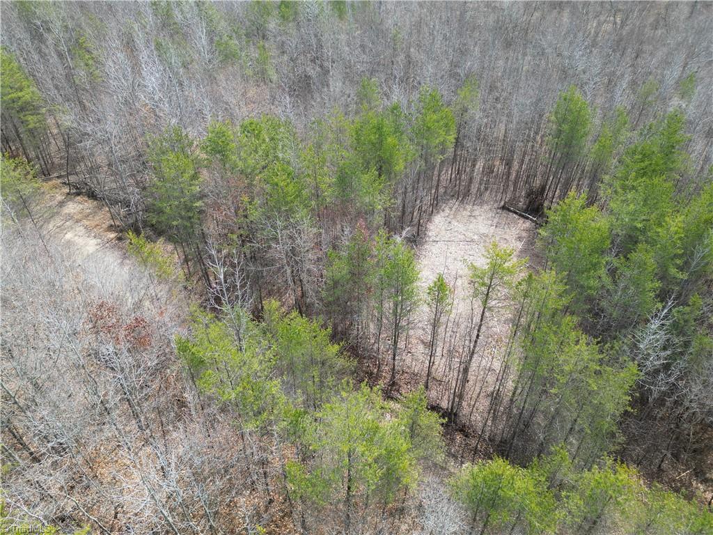 1200 Purcell Road Reidsville, NC 27320 - Photo 22 of 50