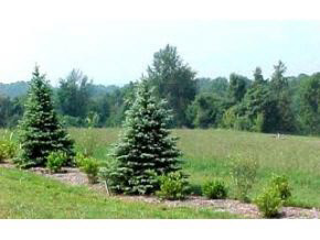 Lot 11 Sample Bloomington, IN 47404 - Photo 7 of 7