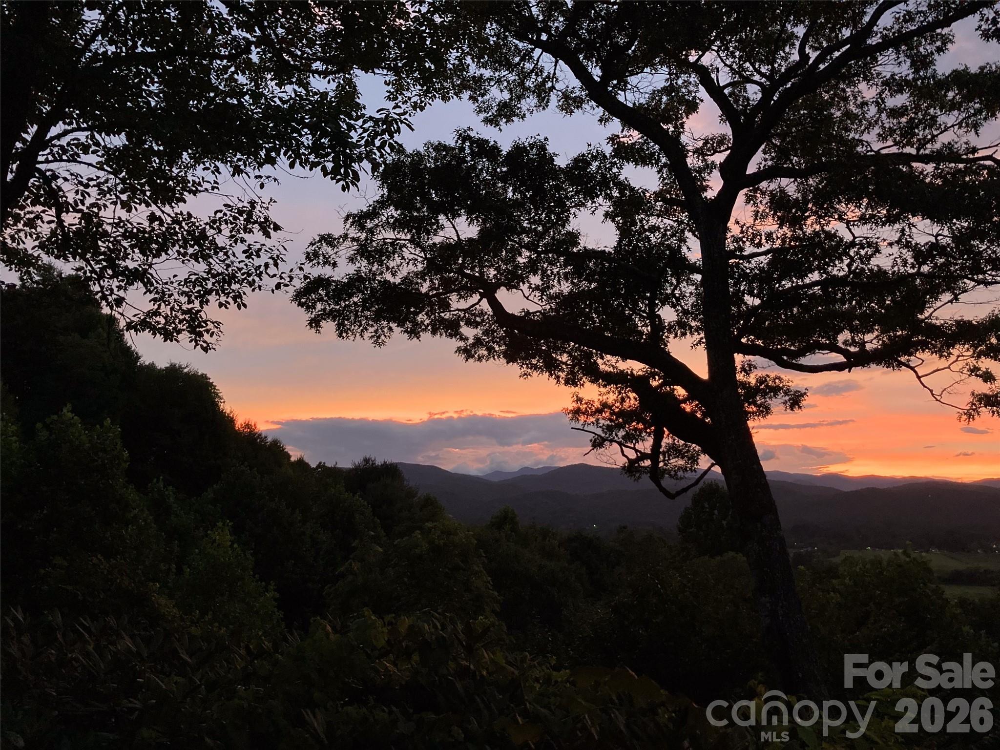 252 Middle Mt Road Pisgah Forest, NC 28768 - Photo 48 of 48 Gallery Image 48