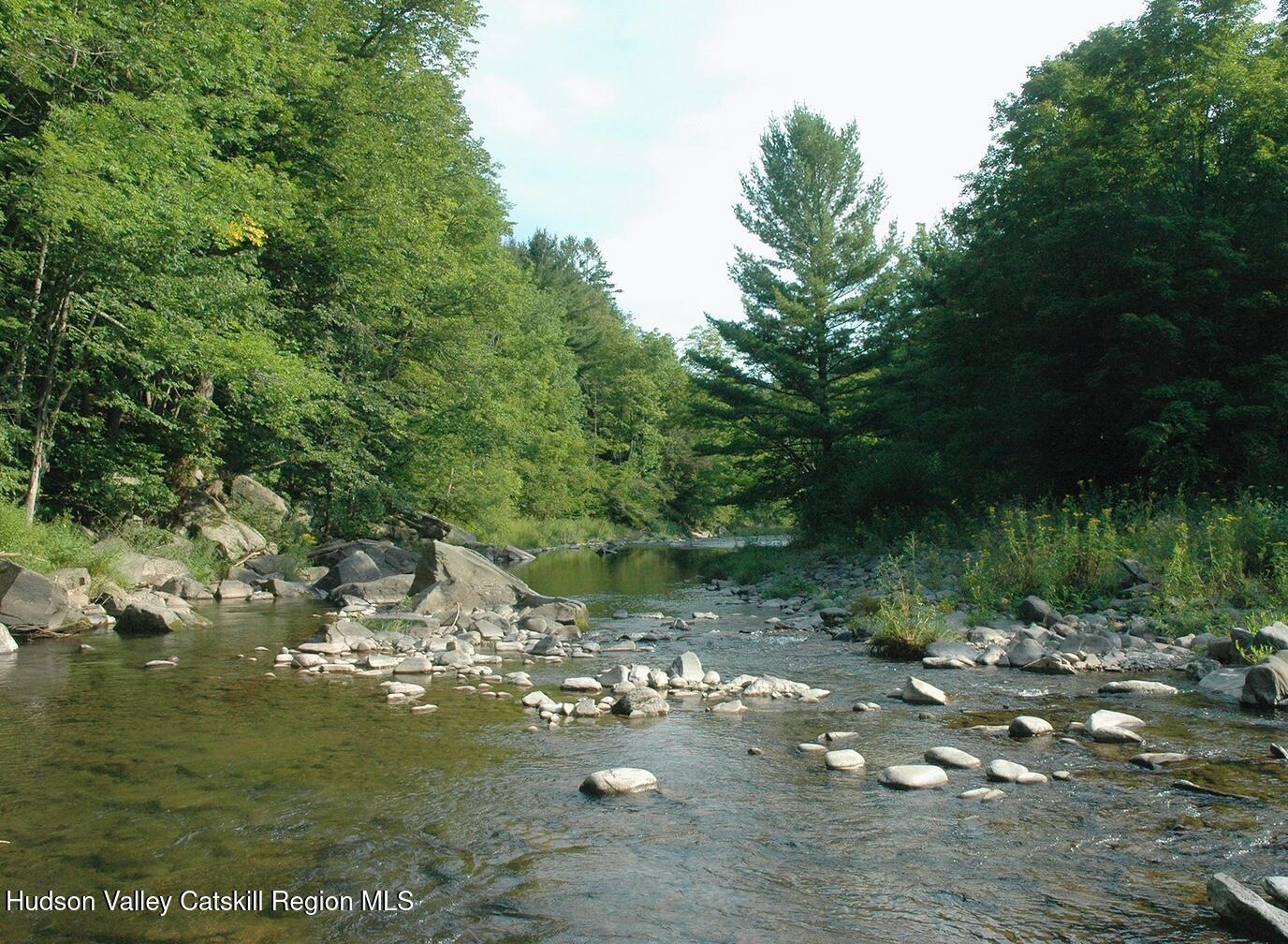 166 Todd Hill Road, Unit 166 West Kill, NY 12492 - Photo 39 of 42 a view of a lake view with large trees