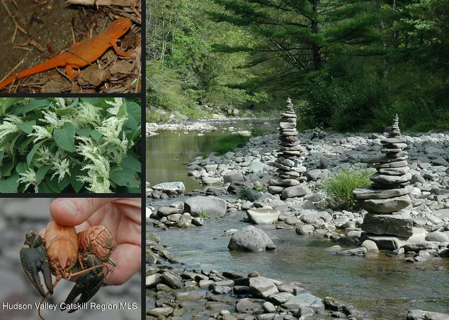 $825,000 | 166 Todd Hill Road, Unit 166, West Kill, NY 12492