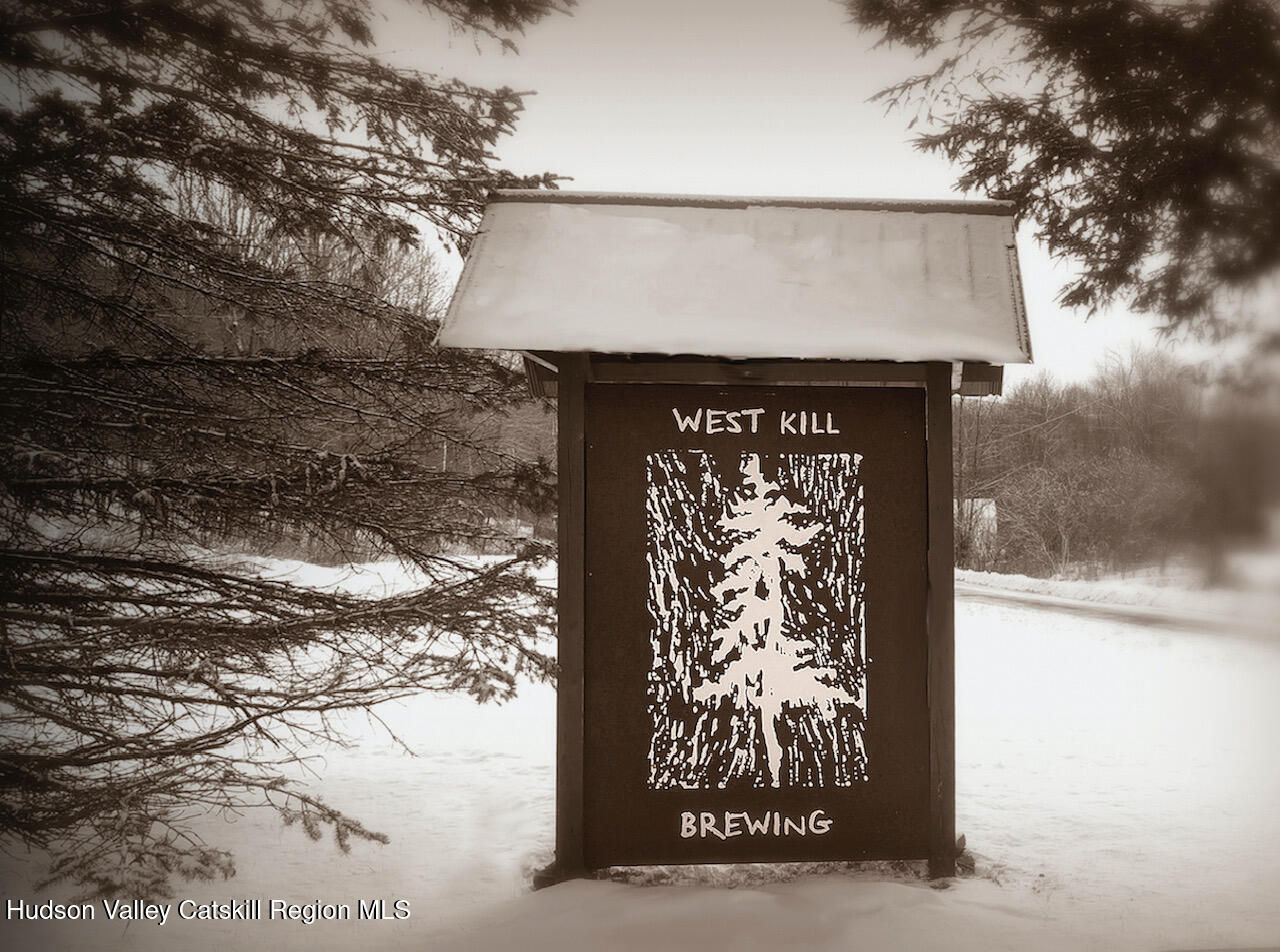 166 Todd Hill Road, Unit 166 West Kill, NY 12492 - Photo 41 of 42 a front view of a house with a garden