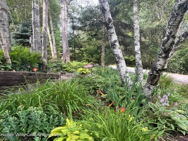 a view of small garden with plants and trees