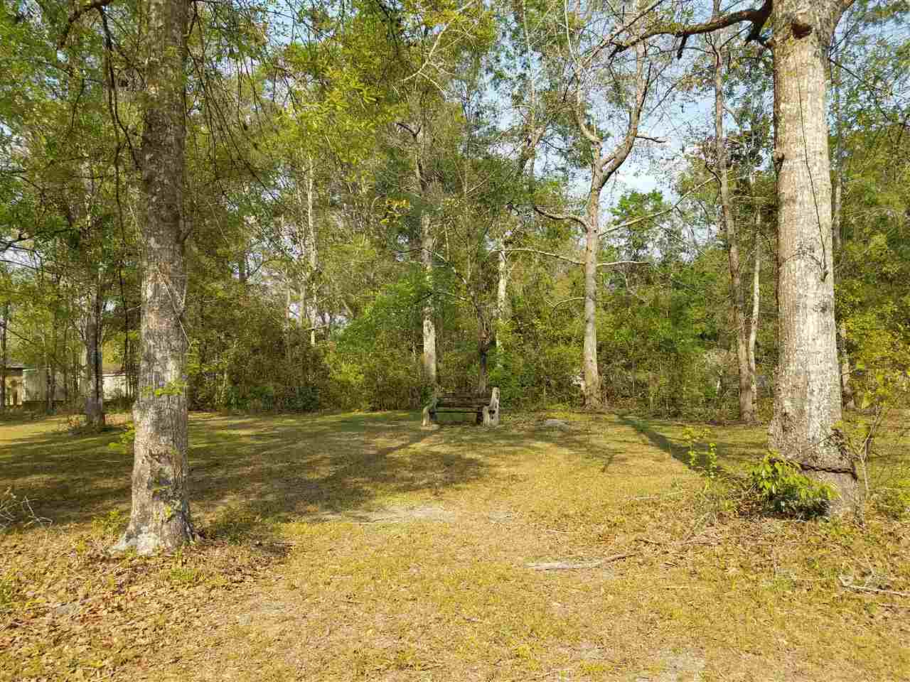 259 A Pineview Road Monticello, FL 32344 - Photo 1 of 23 Gallery Image 1
