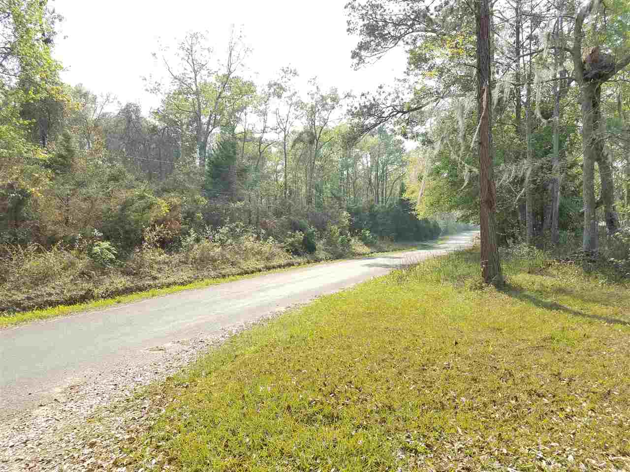 259 A Pineview Road Monticello, FL 32344 - Photo 2 of 23 Gallery Image 2