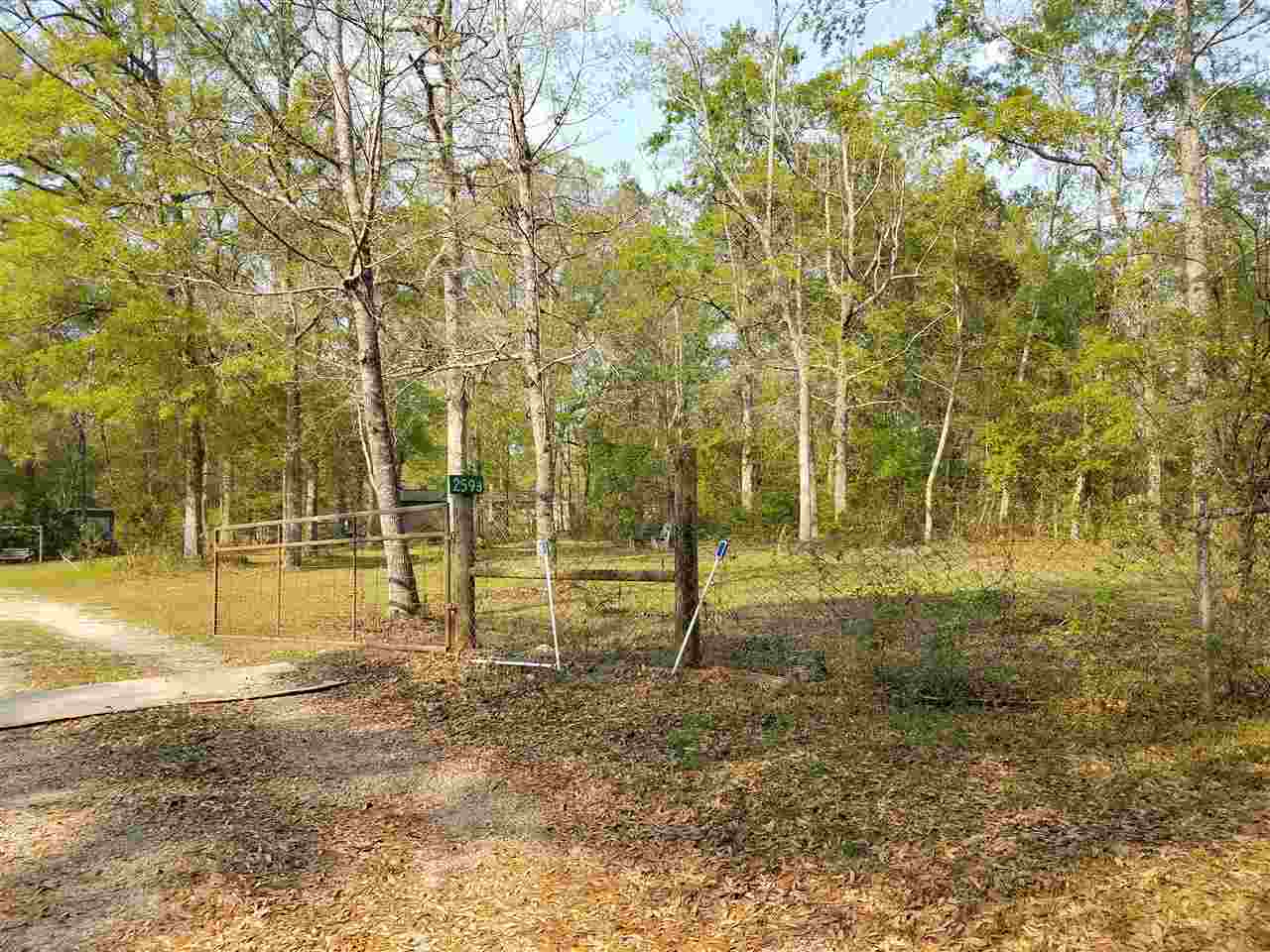 259 A Pineview Road Monticello, FL 32344 - Photo 4 of 23 Gallery Image 4