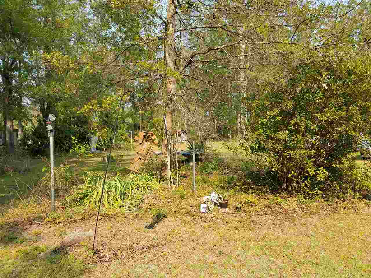259 A Pineview Road Monticello, FL 32344 - Photo 10 of 23 Gallery Image 10