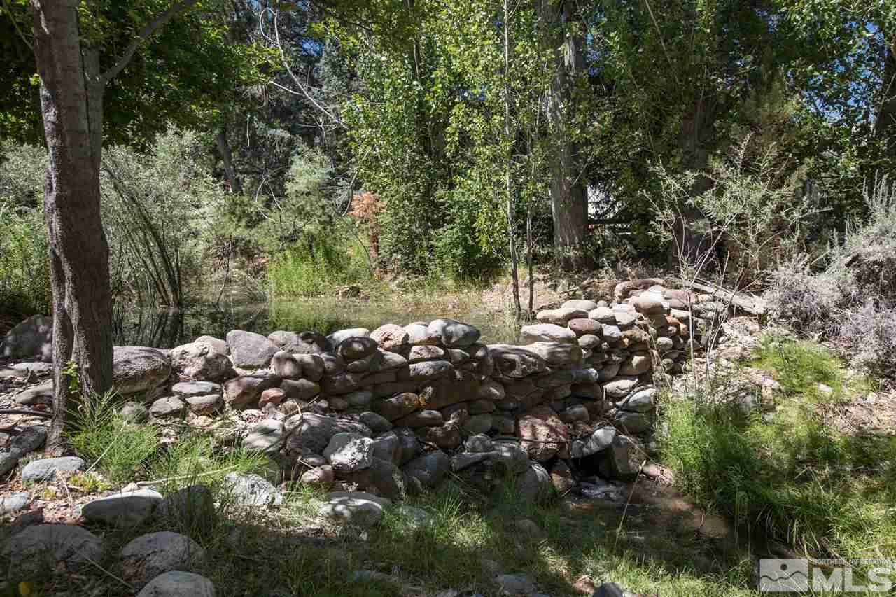 4321 Bridle Way Reno, NV 89519 - Photo 13 of 25 a view of a forest with trees