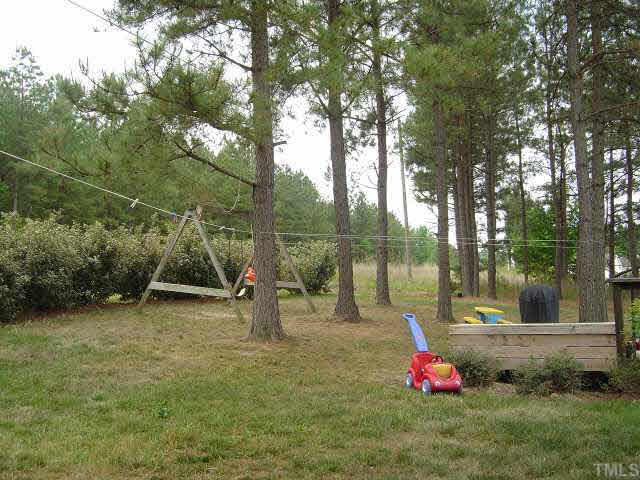 4420 Canadian Court Raleigh, NC 27616 - Photo 4 of 5 a view of a park with swings and slides
