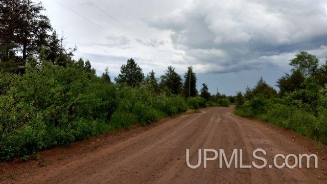40-acres 40-acres Co Road Ishpeming, MI 49849 - Photo 1 of 3