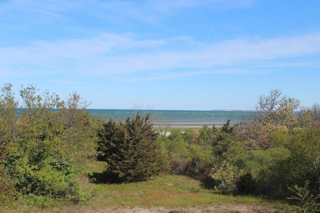 4-6 Franz Road Orleans, MA 02653 - Photo 11 of 38 franz yard