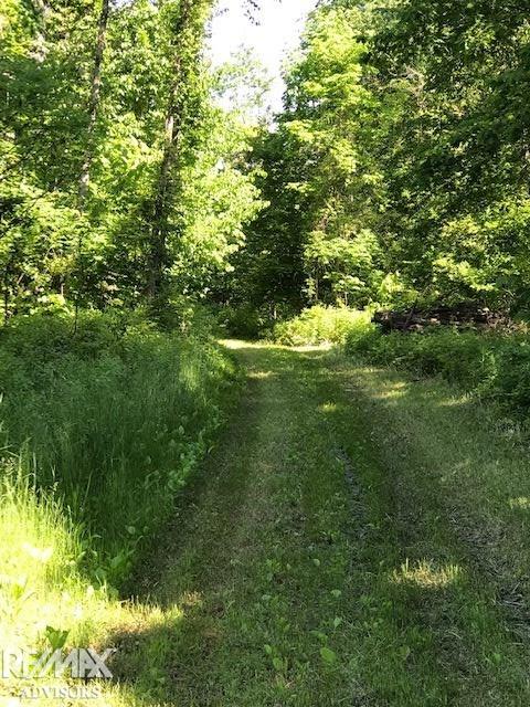 6899 Buck Run Spruce, MI 48762 - Photo 25 of 26