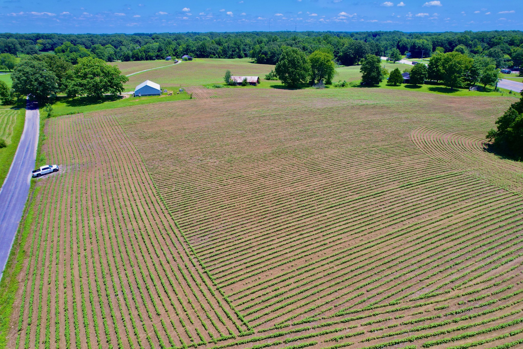 20 Lambs Ferry Road Leoma, TN 38468 - Photo 6 of 12
