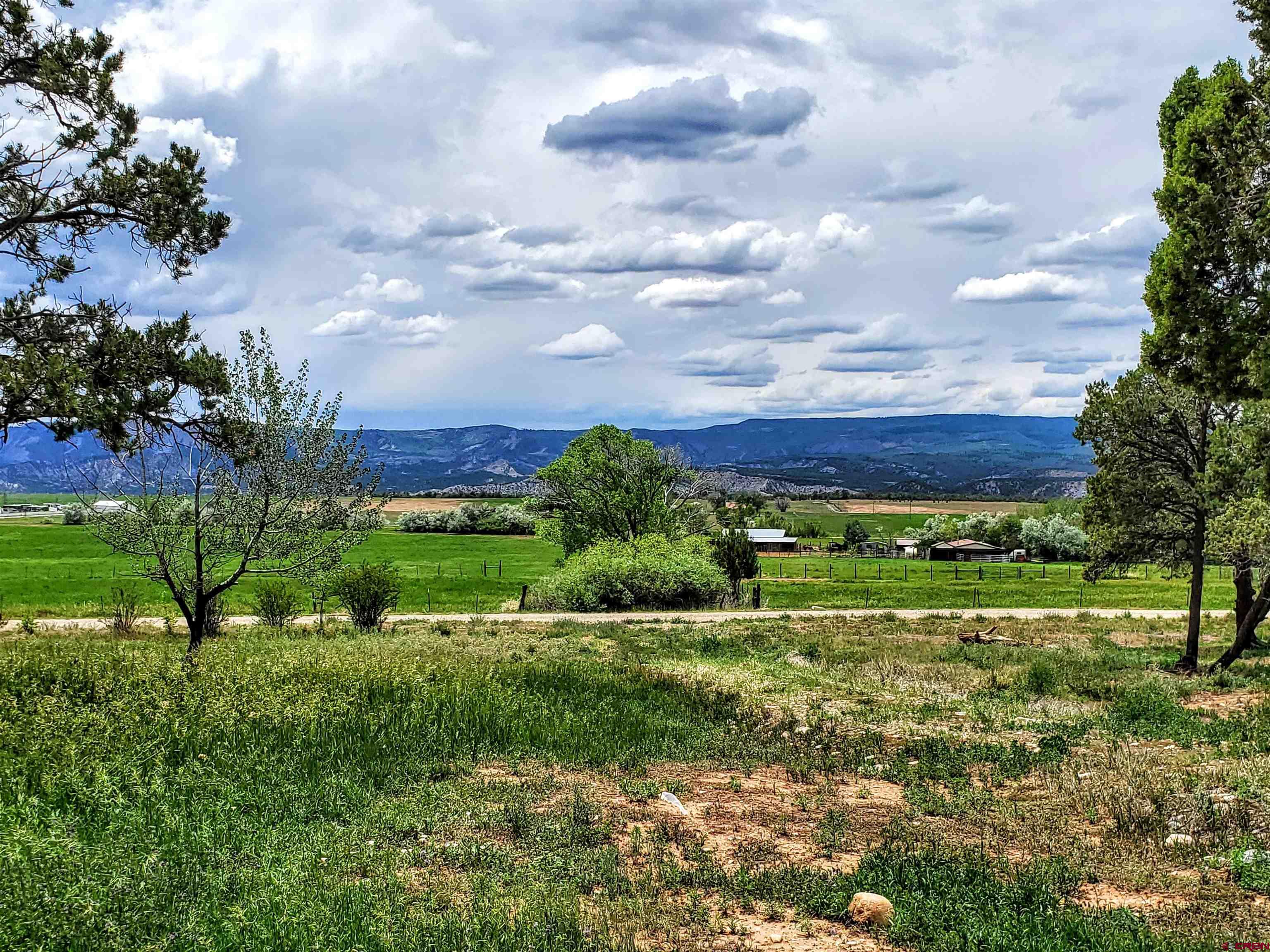 79 Cedar Circle Durango, CO 81303 - Photo 11 of 30