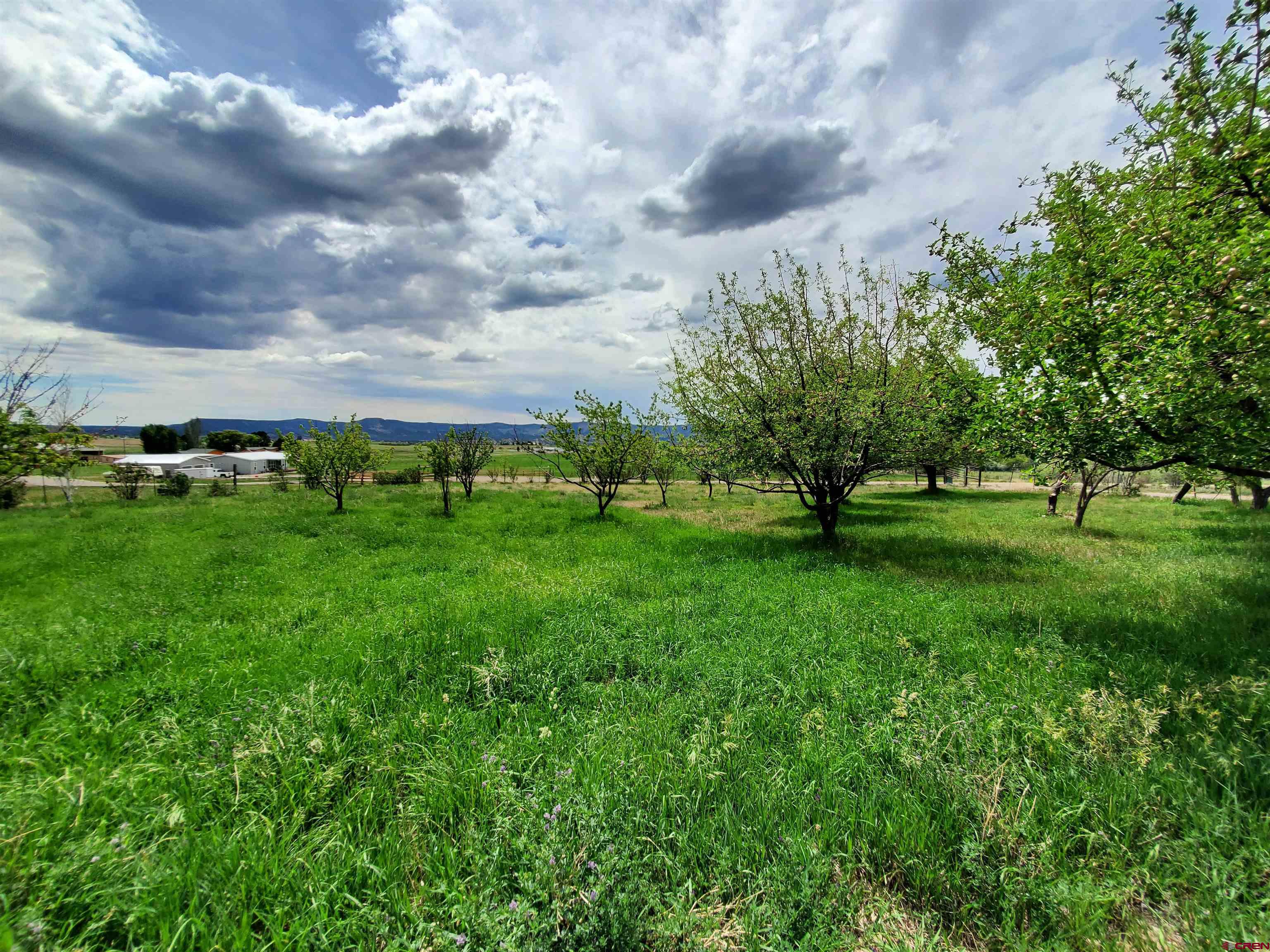 79 Cedar Circle Durango, CO 81303 - Photo 4 of 30 a view of grassy field with benches