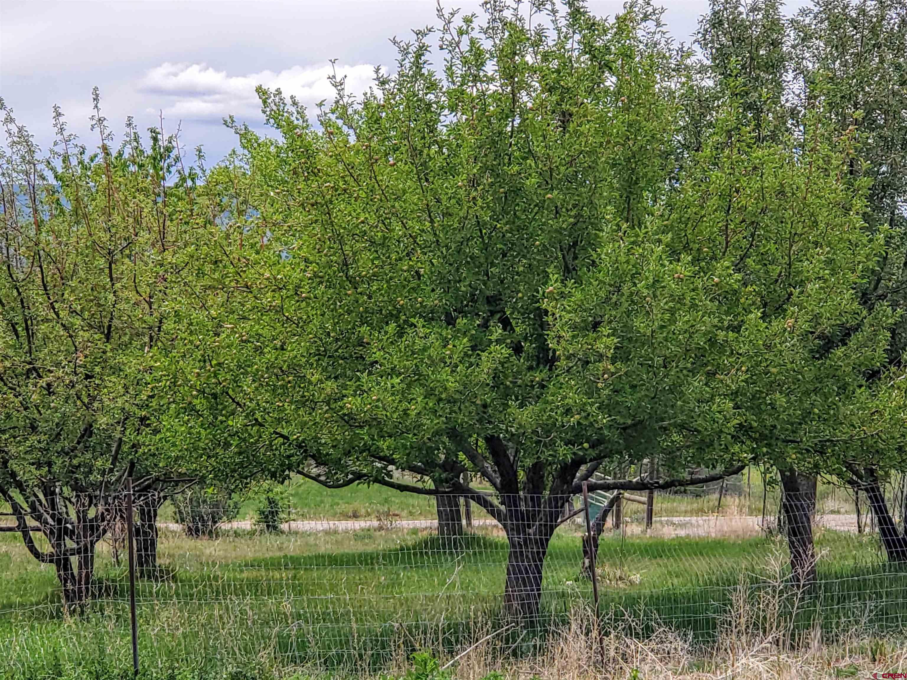 79 Cedar Circle Durango, CO 81303 - Photo 6 of 30