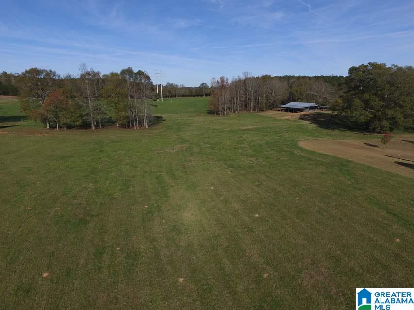 3258 Youngs Mill Road Lineville, AL 36266 - Photo 48 of 50