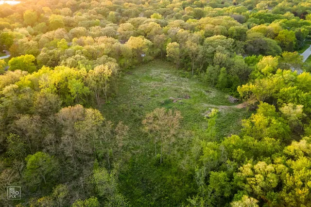 a view of a big yard