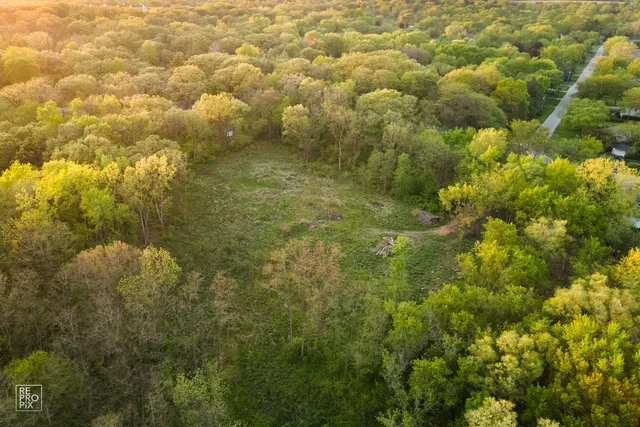 a view of a big yard of the house