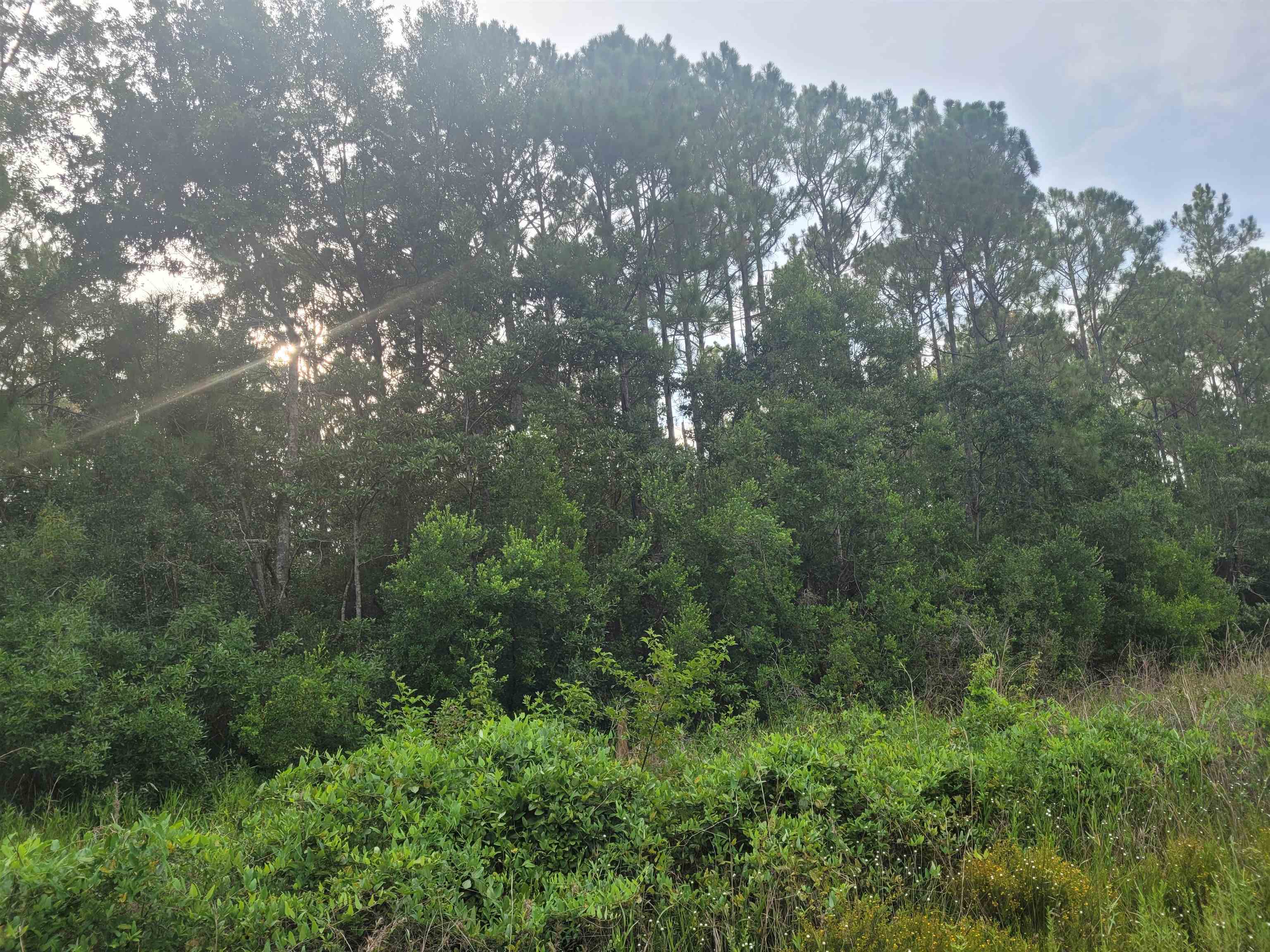 11675 Mary Ann Bch Road Fairhope, AL 36532 - Photo 7 of 8
